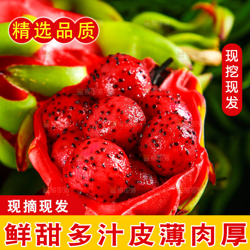 黑底上放着海南红心火龙果