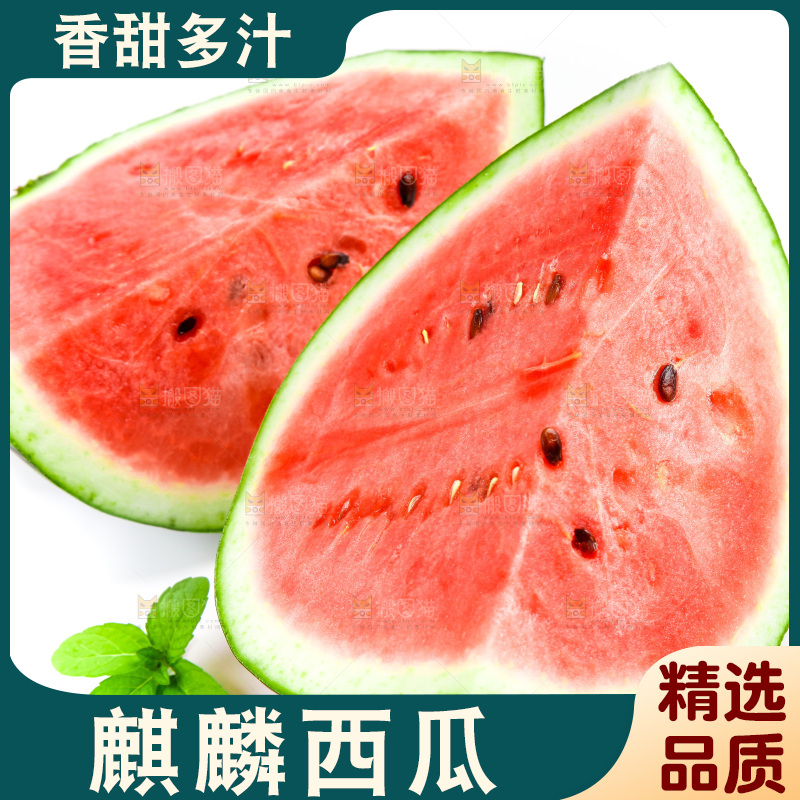 切开的麒麟西瓜放在白底上