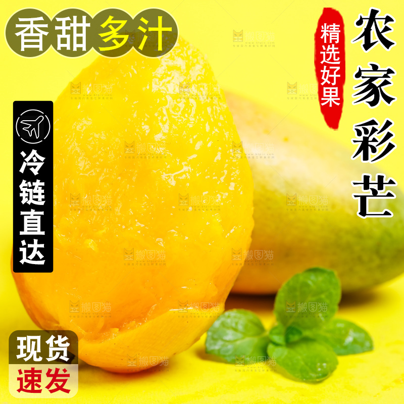 浅底上的彩芒