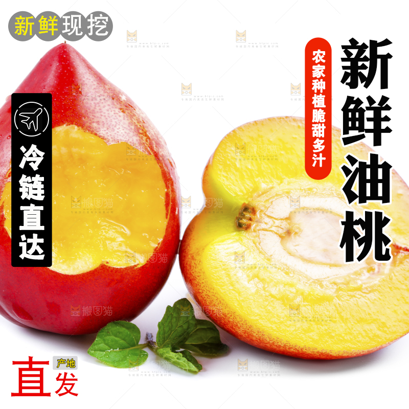 山西黄心油桃放在白底上