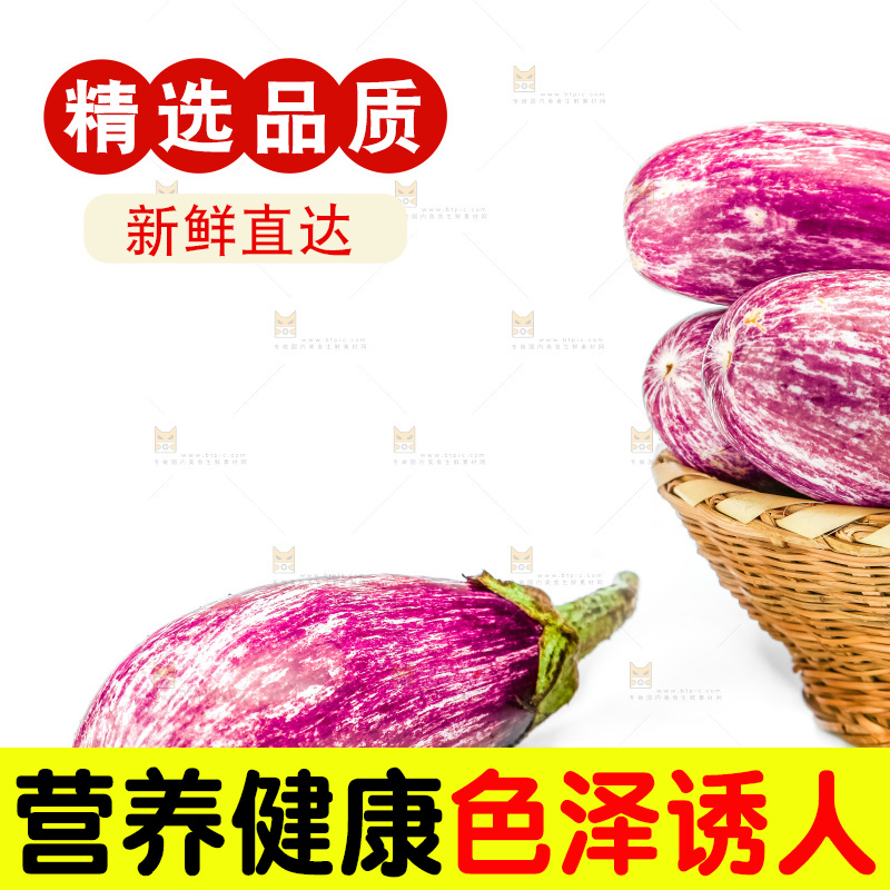 新鲜茄子放在白底上