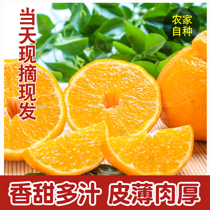 切开的四川丑橘放在浅底上