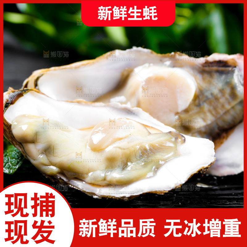 深底上放着牡蛎