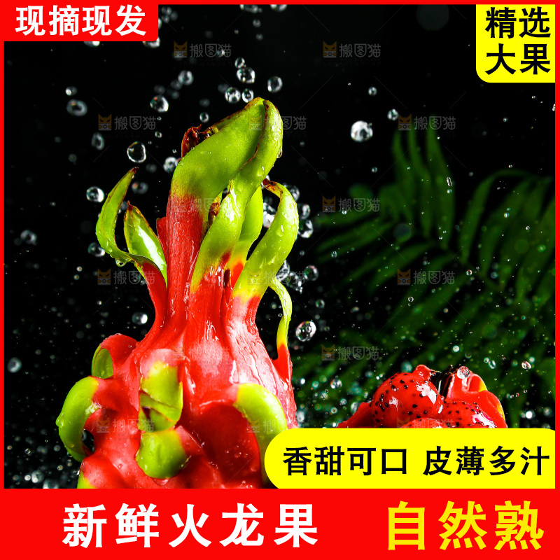 黑底上放着海南红心火龙果