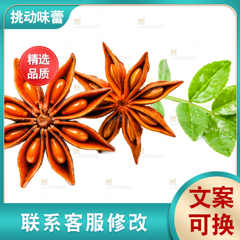 广西八角放在白底上