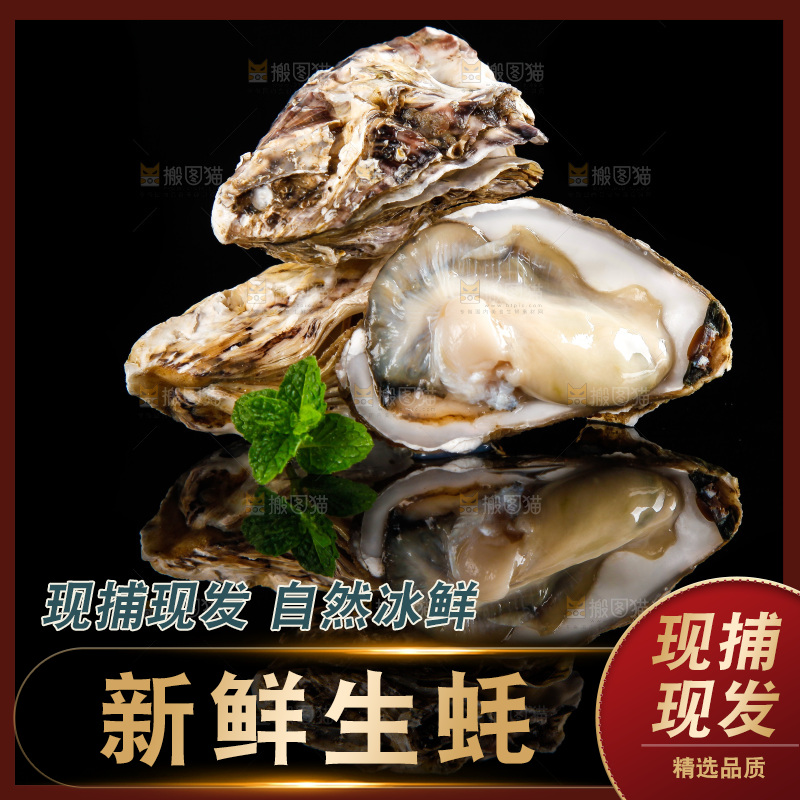 黑底上放着海蛎子