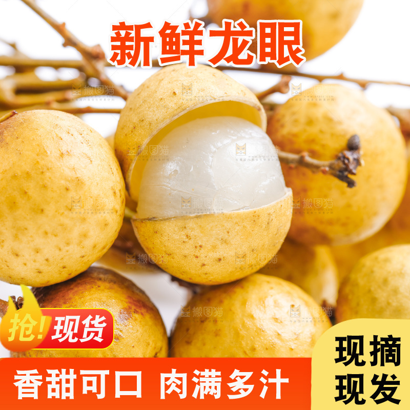 泰国龙眼放在白底上
