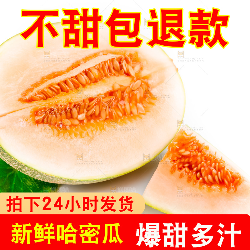 新鲜哈密瓜放在白底上