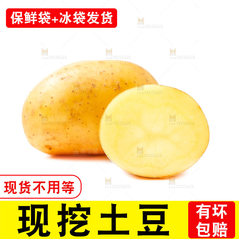 黄心土豆放在白底上
