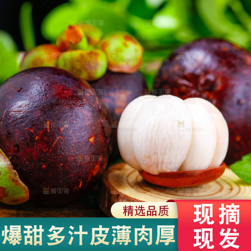 勺子里装着山竹果肉
