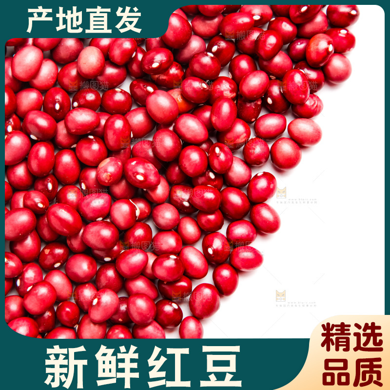 白底上的红豆