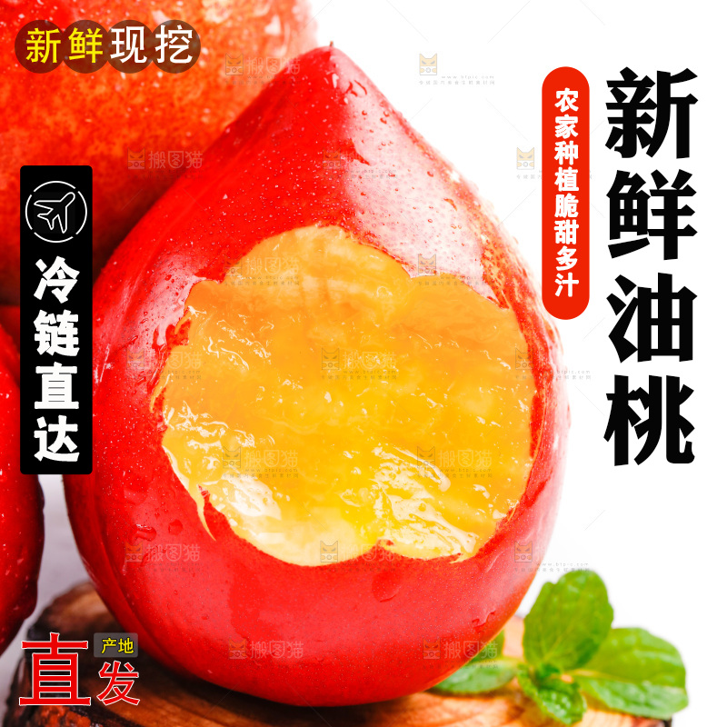 山西黄心油桃放在白底上