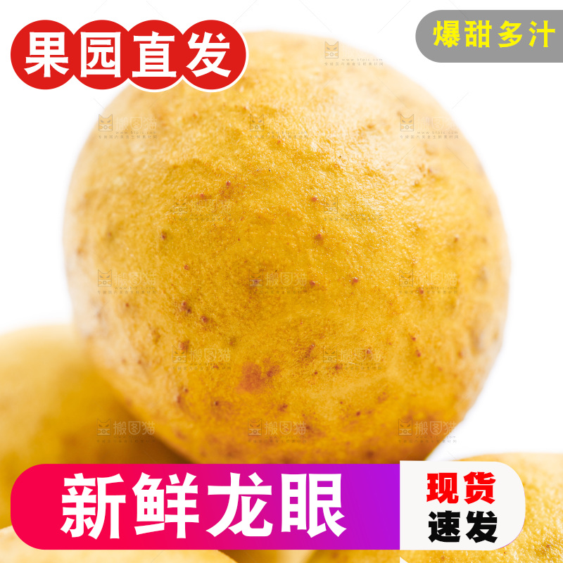 白底上的龙眼