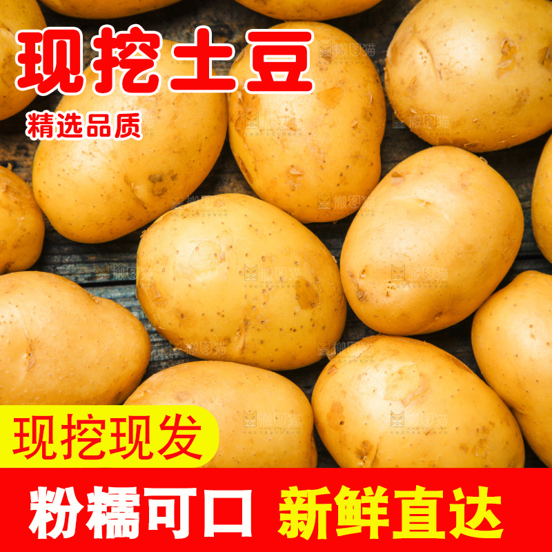 木底上土豆