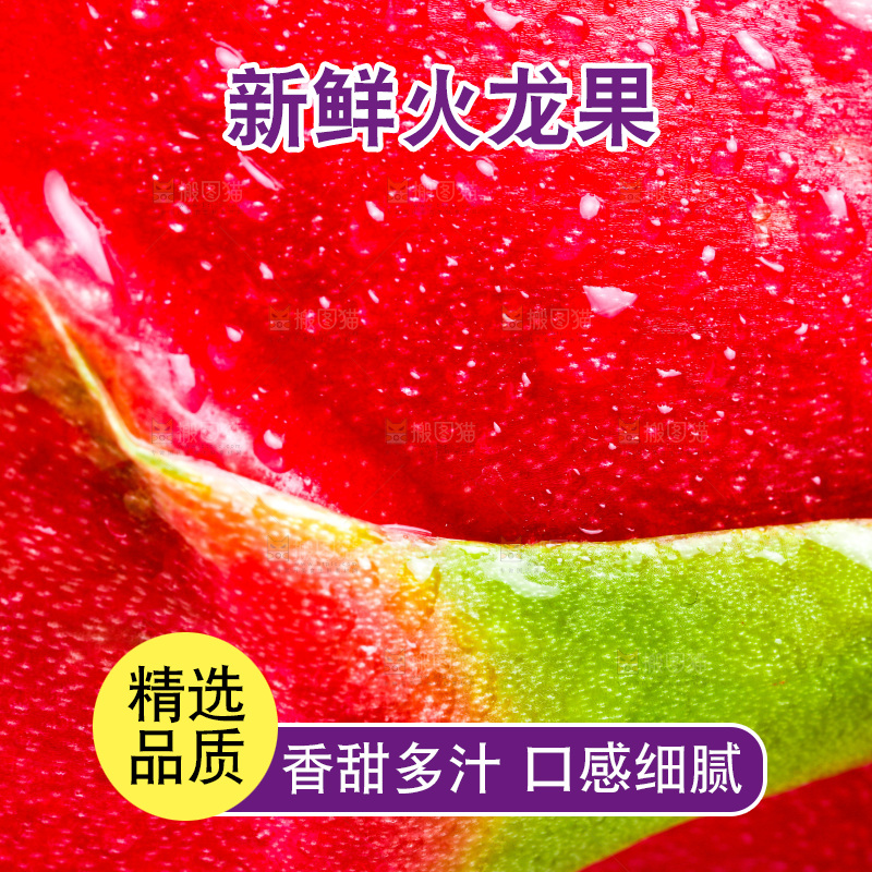 白底上的火龙果