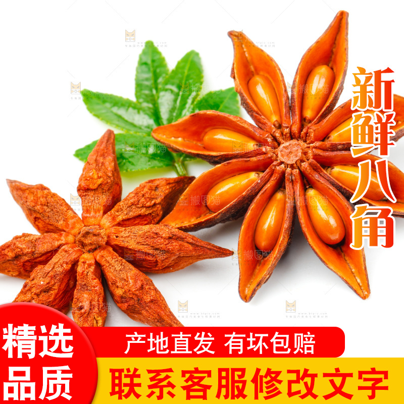 广西八角放在白底上