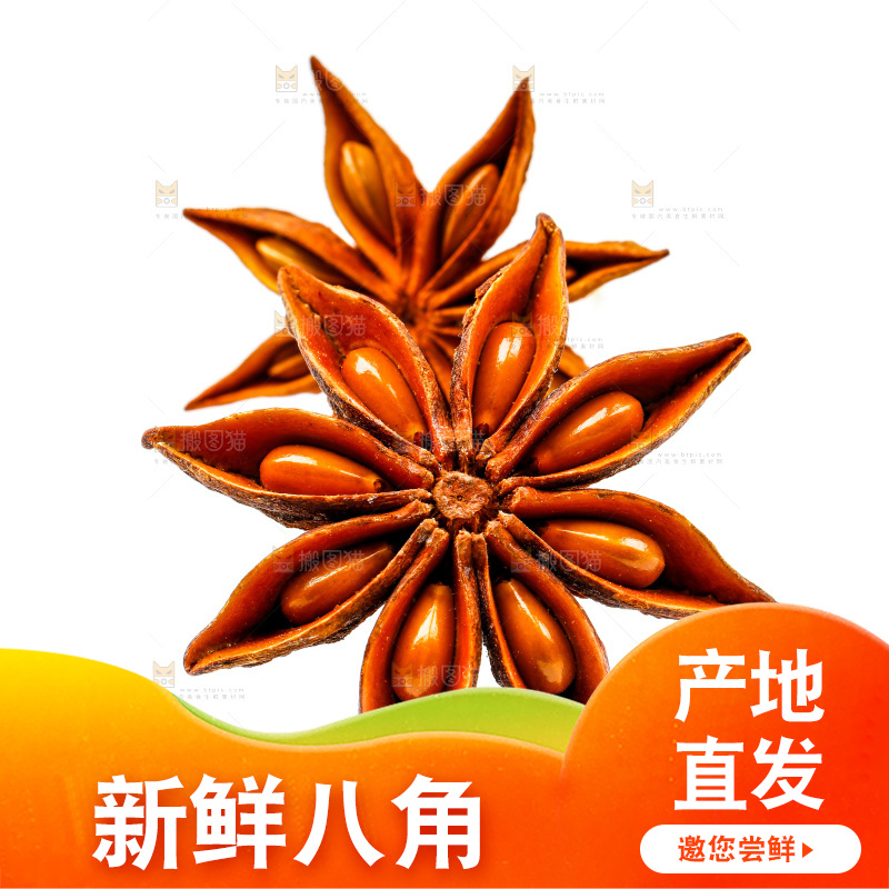 广西八角放在白底上