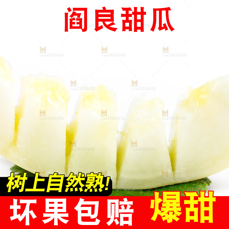 新鲜阎良甜瓜放在白底上