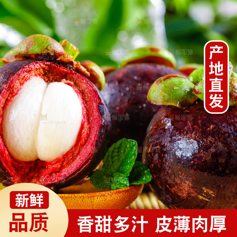 新鲜山竹放在木底上