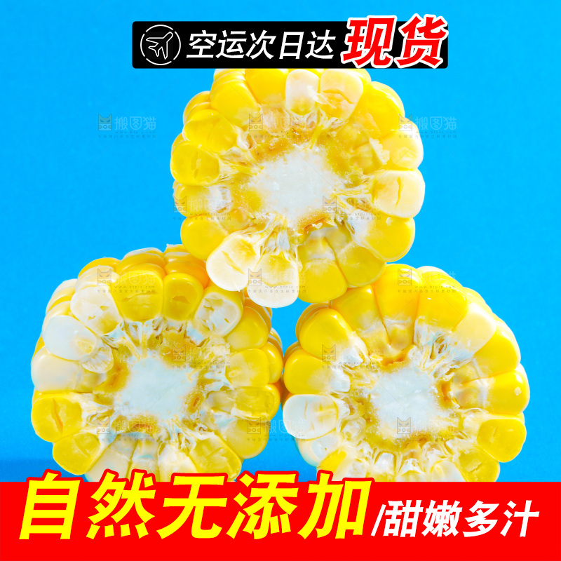 蓝底上放着云南水果甜玉米