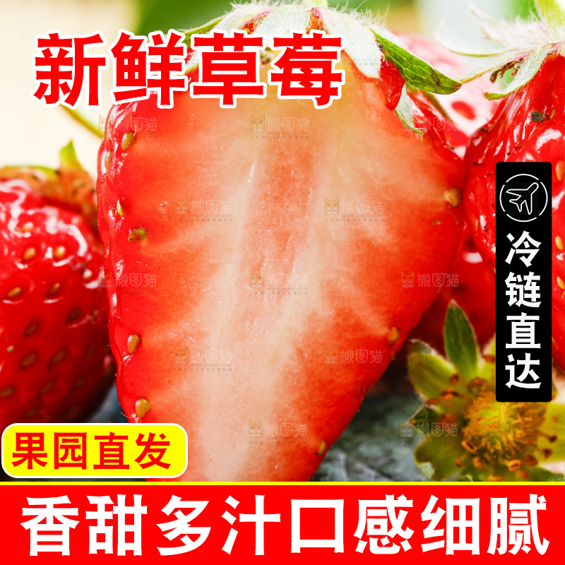 木底上放着丹东草莓
