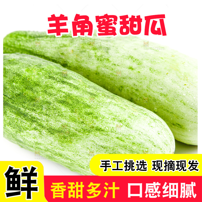 白底上的山东羊角蜜甜瓜