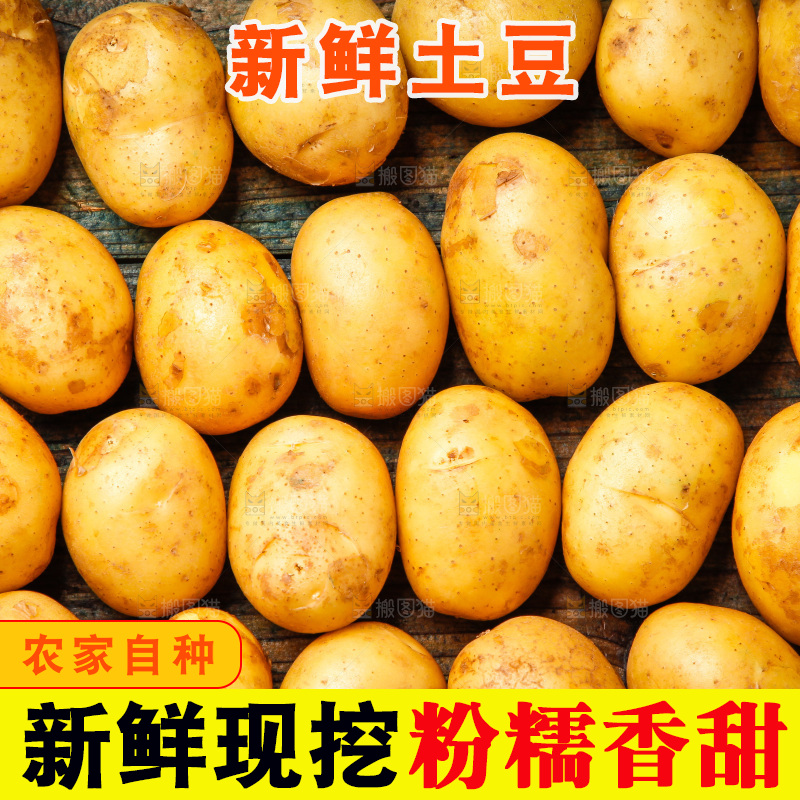 木底上土豆