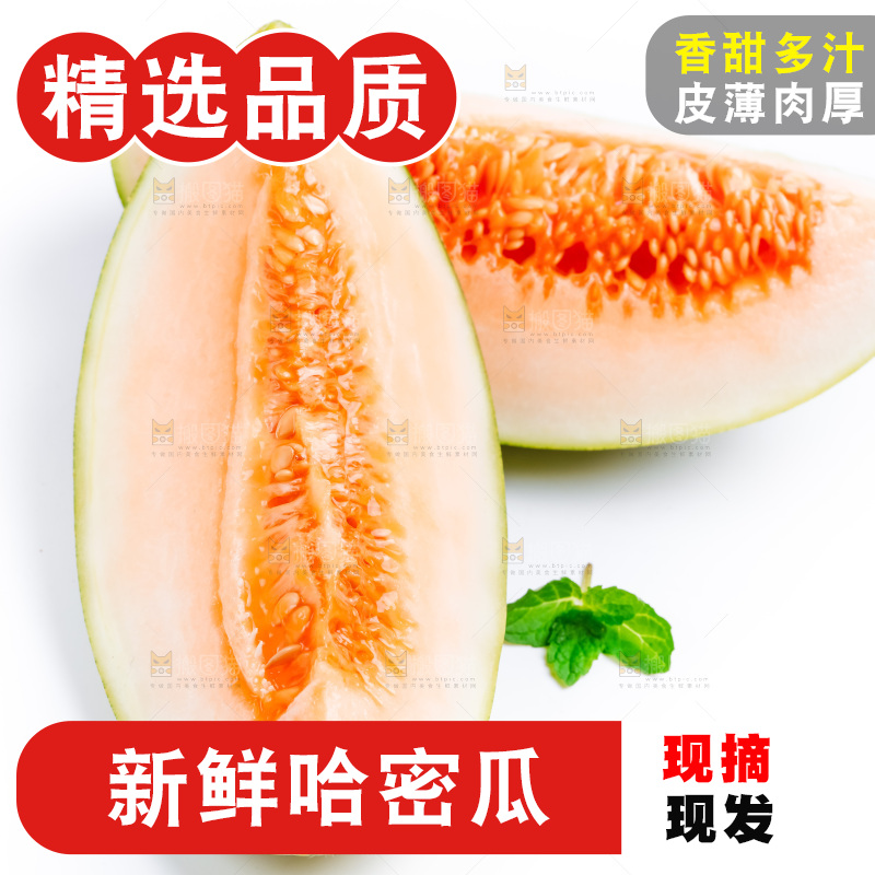 新鲜哈密瓜放在白底上