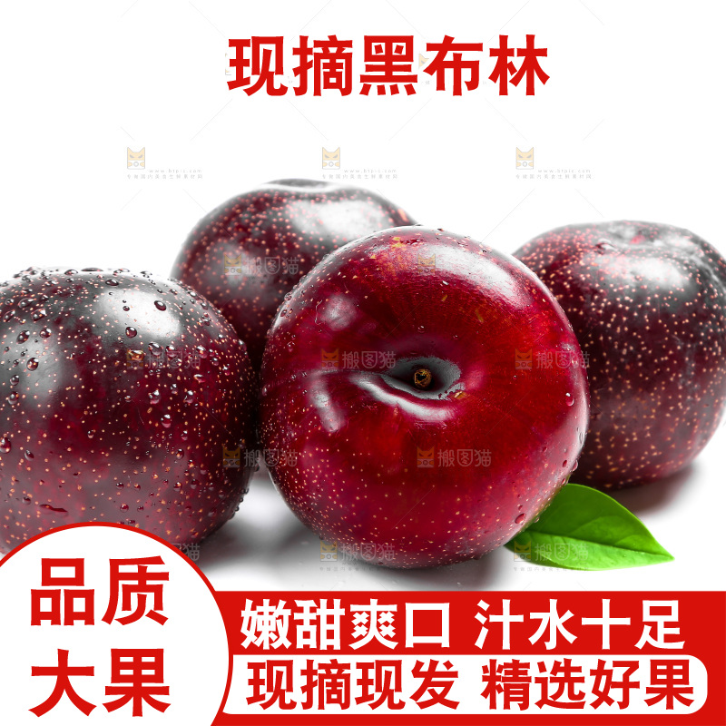 白底上的黑布林