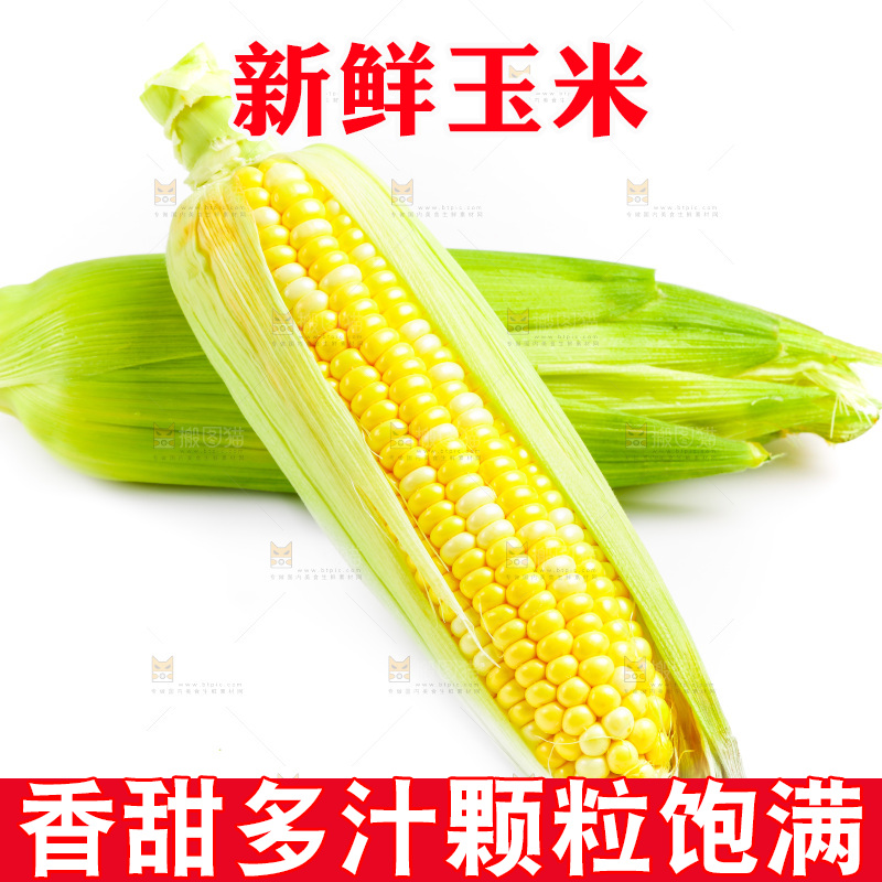 白底上放着新鲜玉米