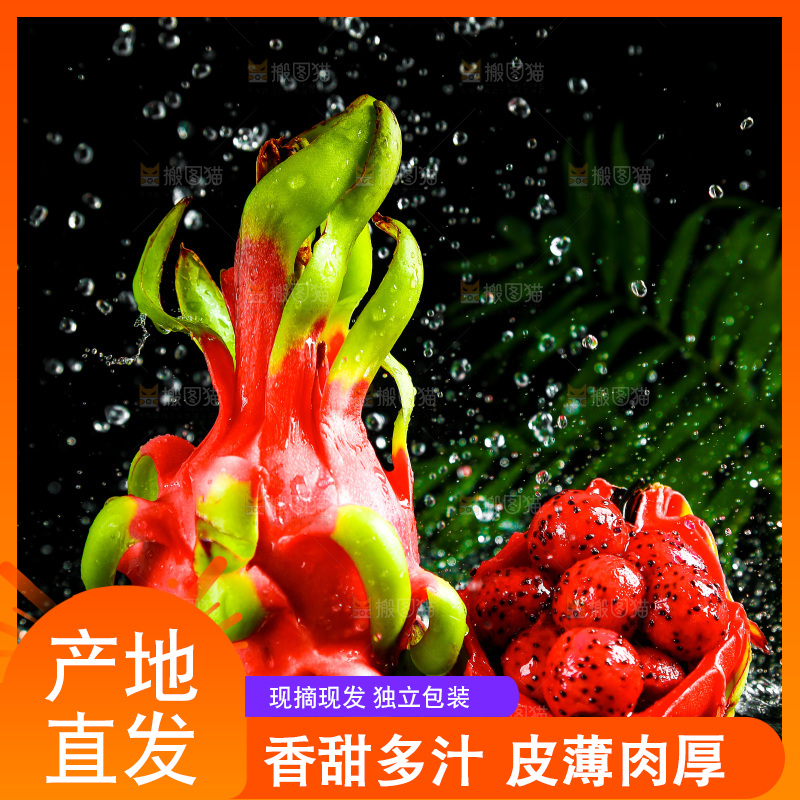 黑底上放着海南红心火龙果