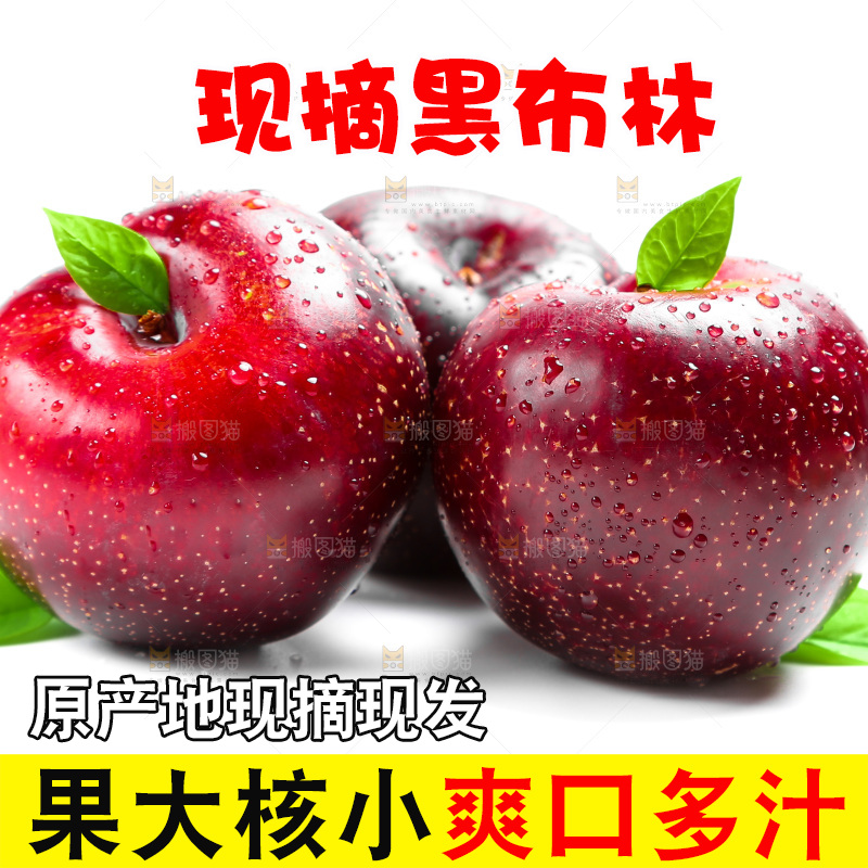 陕西黑布林放在白底上