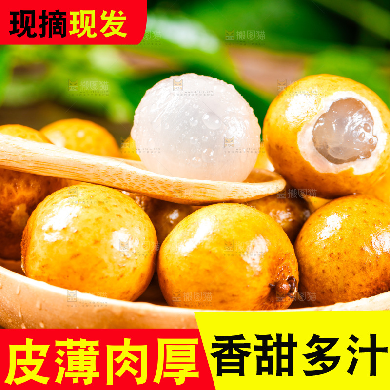 勺子里装着龙眼果肉