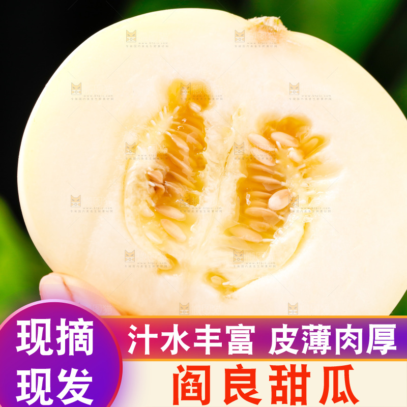 手拿切开的陕西阎良甜瓜