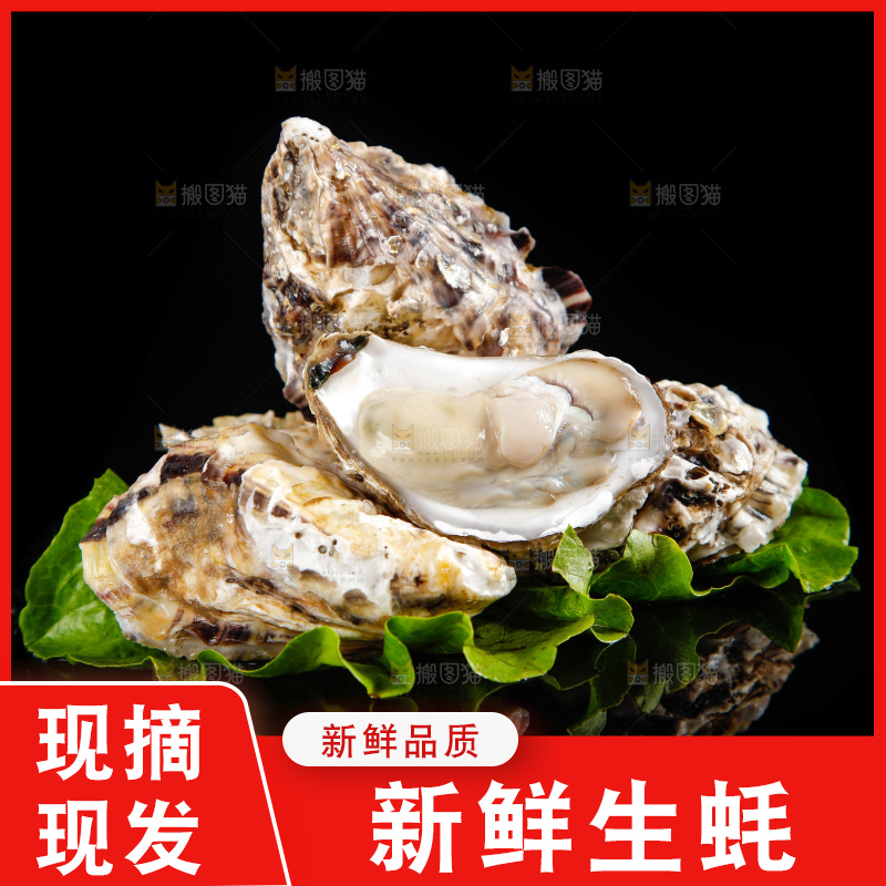 黑底上放着生蚝