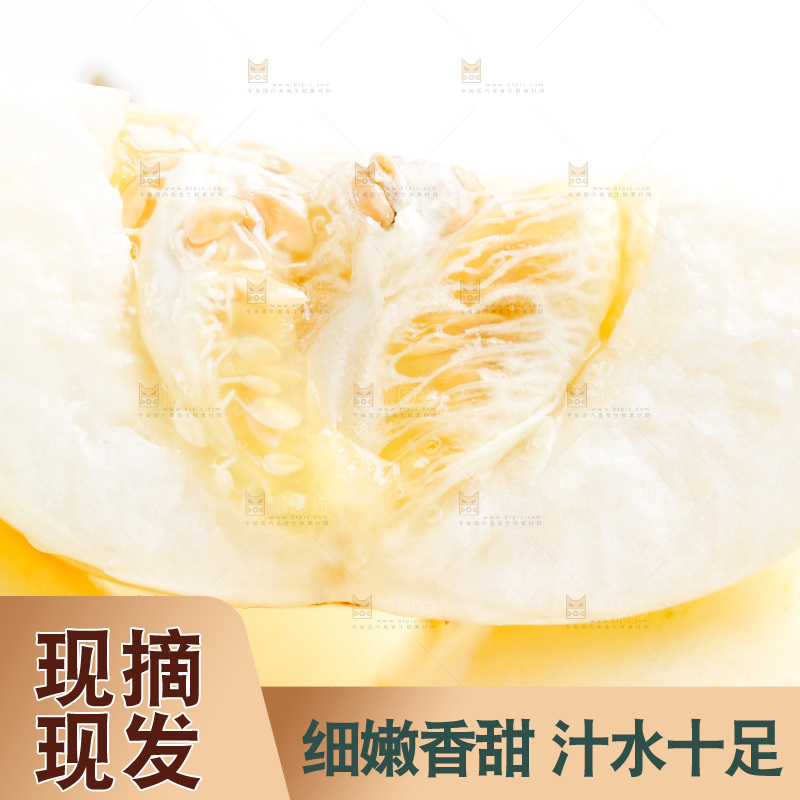 新鲜阎良甜瓜放在白底上