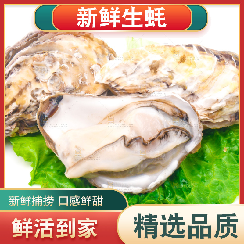 白底上放着乳山生蚝