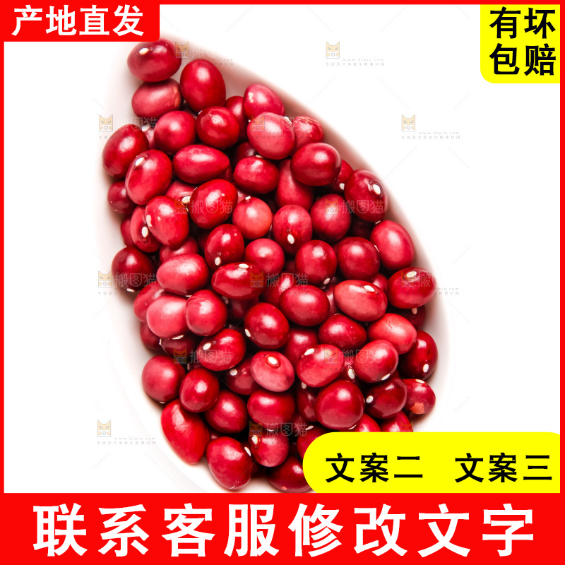 东北红小豆放在白底上
