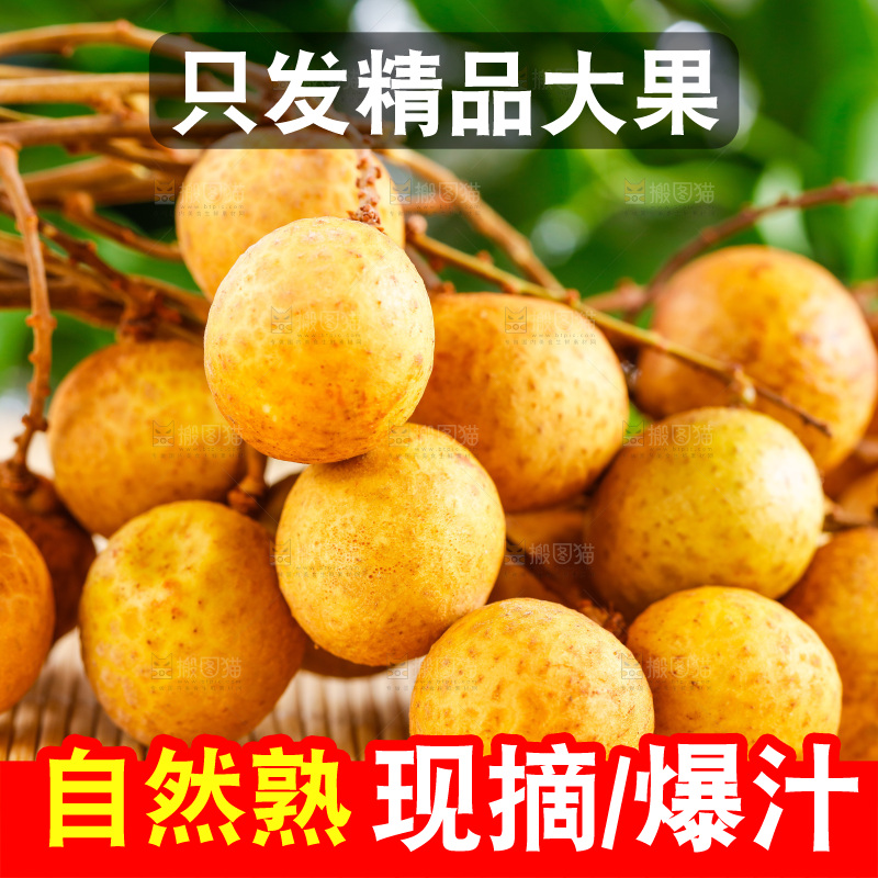 木底上放着泰国龙眼