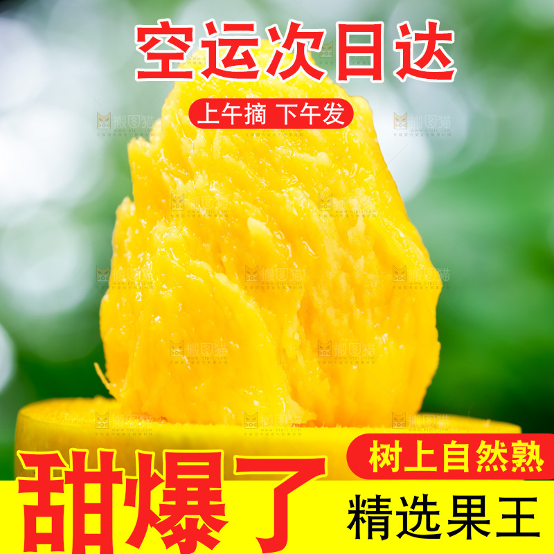 浅底上的彩芒