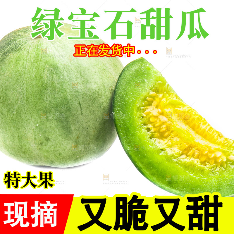 白底上放着山东绿宝甜瓜