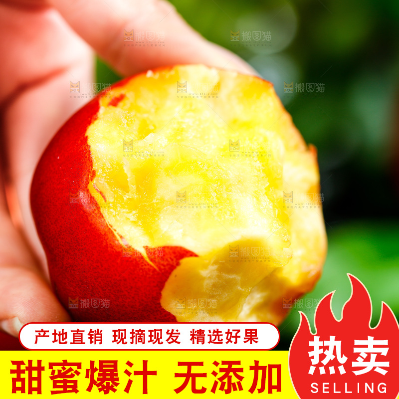 手拿黄心油桃