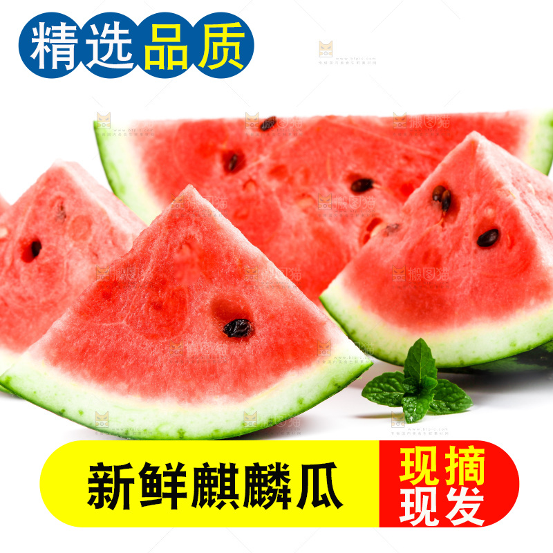 白底上放着8424麒麟瓜