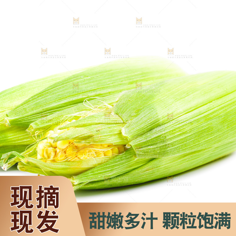 白底上放着新鲜玉米
