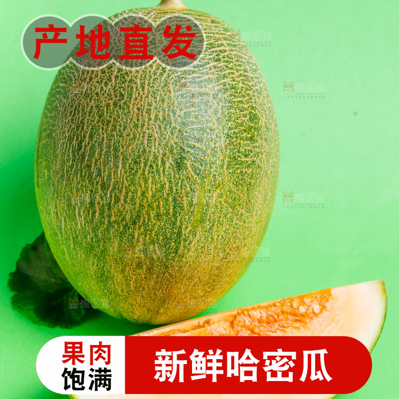 浅底上的哈密瓜