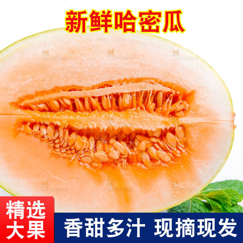 新鲜哈密瓜放在白底上