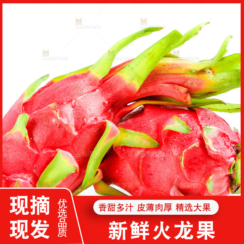白底上放着越南白心火龙果