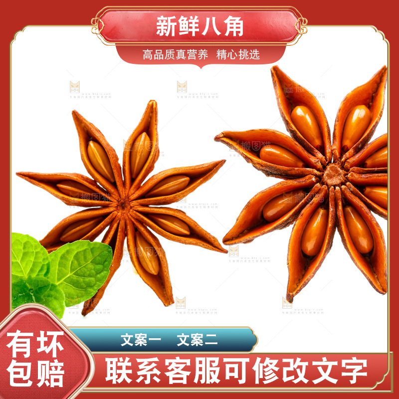 广西八角放在白底上