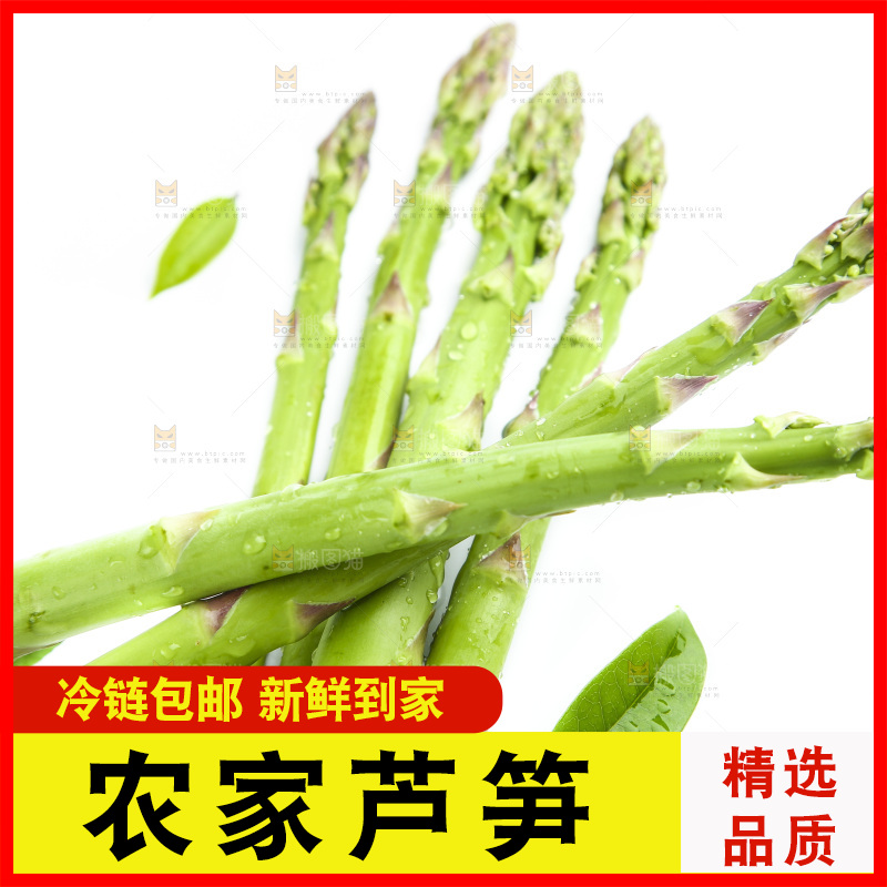 白底上的新鲜芦笋