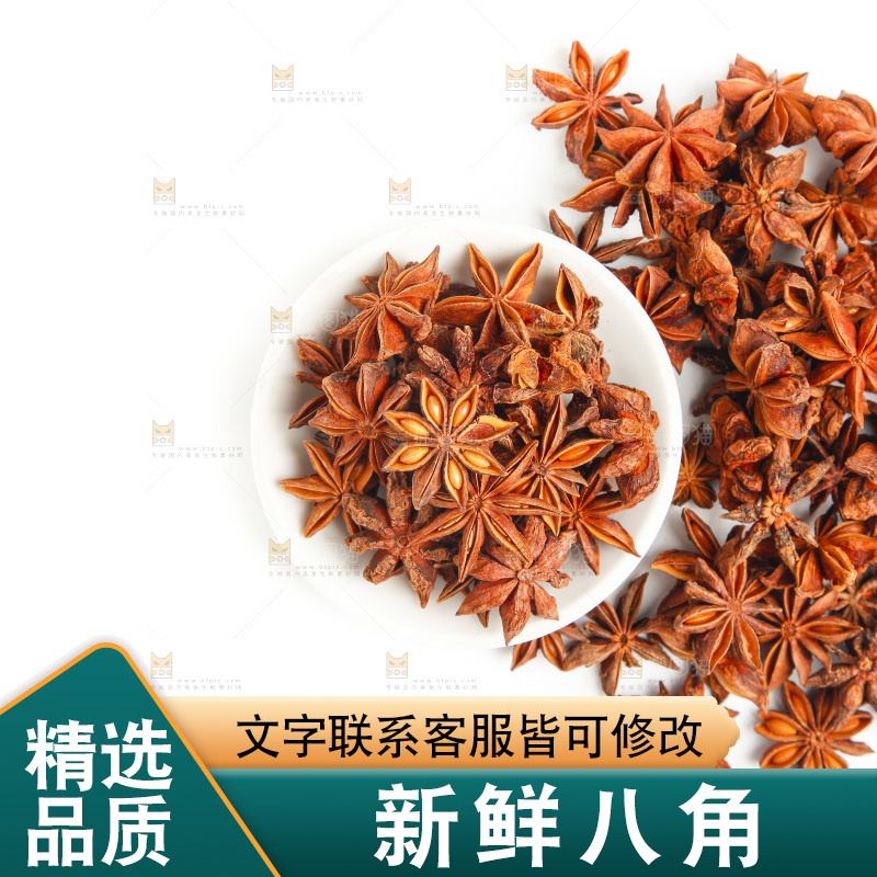 广西八角放在白底上